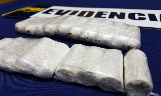 Incautan casi dos millones de pesos en ovoides en Terminal O`Higgins