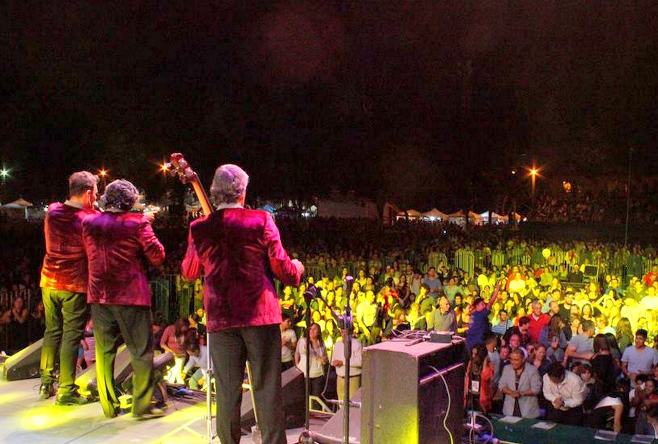 Anuncian artistas confirmados para la «Semana Machalina»