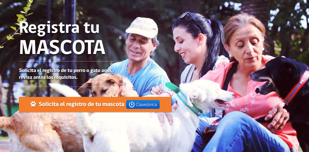 Lo que necesitas saber sobre el Registro Nacional de Mascotas