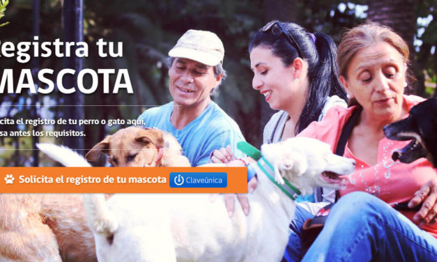Lo que necesitas saber sobre el Registro Nacional de Mascotas