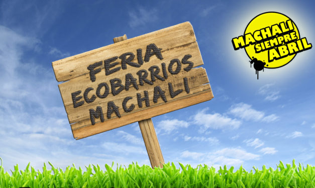 Feria Ecobarrios: Temáticas ambientales y sociales se tomarán Machalí
