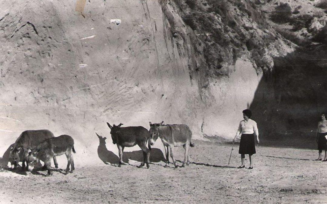 Las Cuevas del Cajón de Machalí