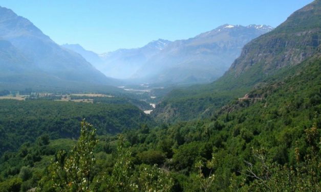 Declaran Alerta Roja para Machali por incendio forestal “Ranchillo”