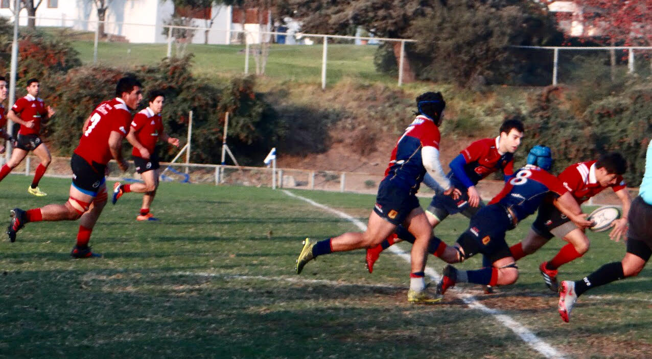 Los Tordos van por la «Copa de Oro» en rugby Arusa