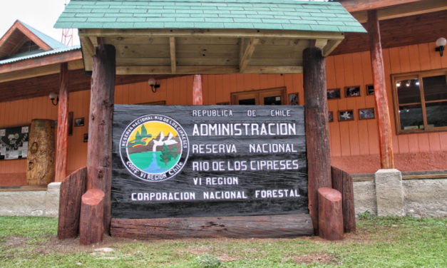 Reserva Nacional Río los Cipreses abrirá de forma gratuita este fin de semana