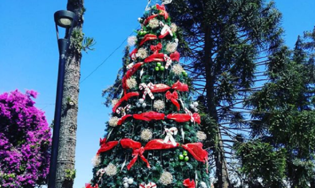 Este Viernes en Machalí: Encendido del árbol y llegada de viejito pascuero