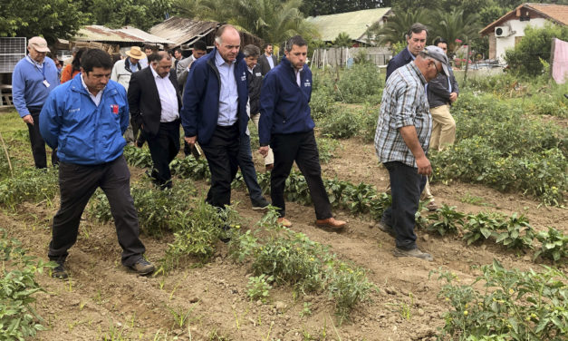 Decretan zona de emergencia agrícola en Machali y 9 comunas de O’Higgins