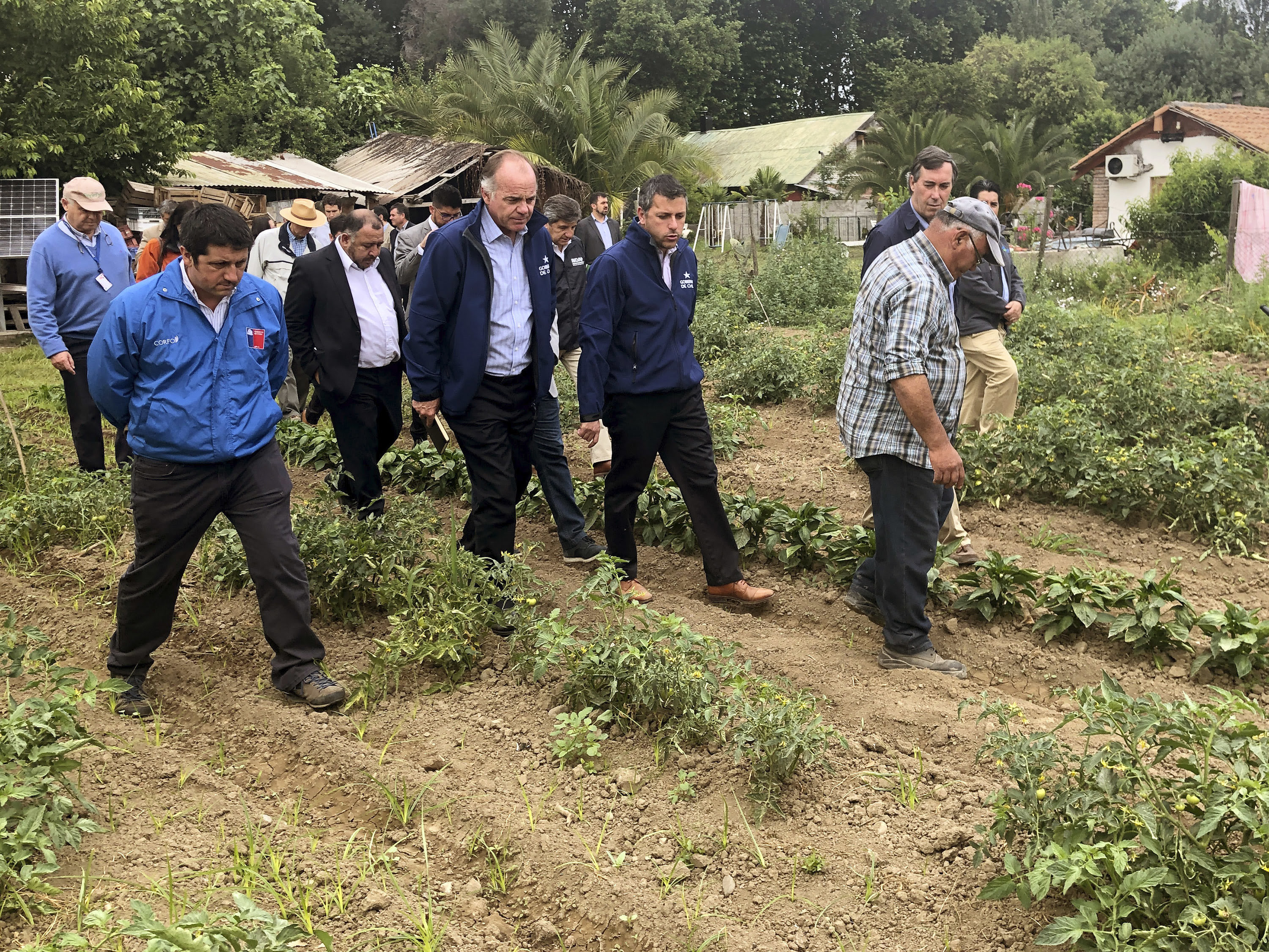 Decretan zona de emergencia agrícola en Machali y 9 comunas de O’Higgins
