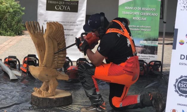 Coya será sede del Encuentro Internacional de Escultores en Motosierra