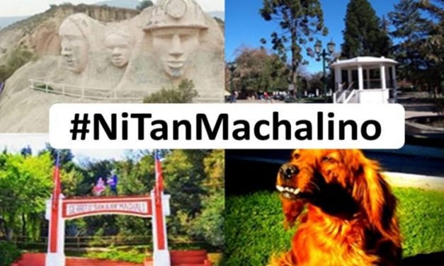 Cómo reconocer a un machalino