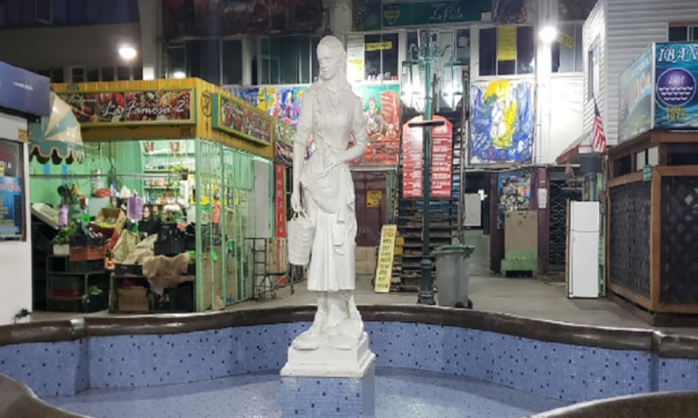 Seremi de Salud prohíbe funcionamiento a Mercado de Rancagua por plaga de ratones