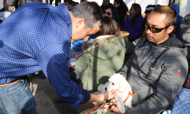 Registro Nacional: Más de 70 mil mascotas fueron inscritas en toda la región