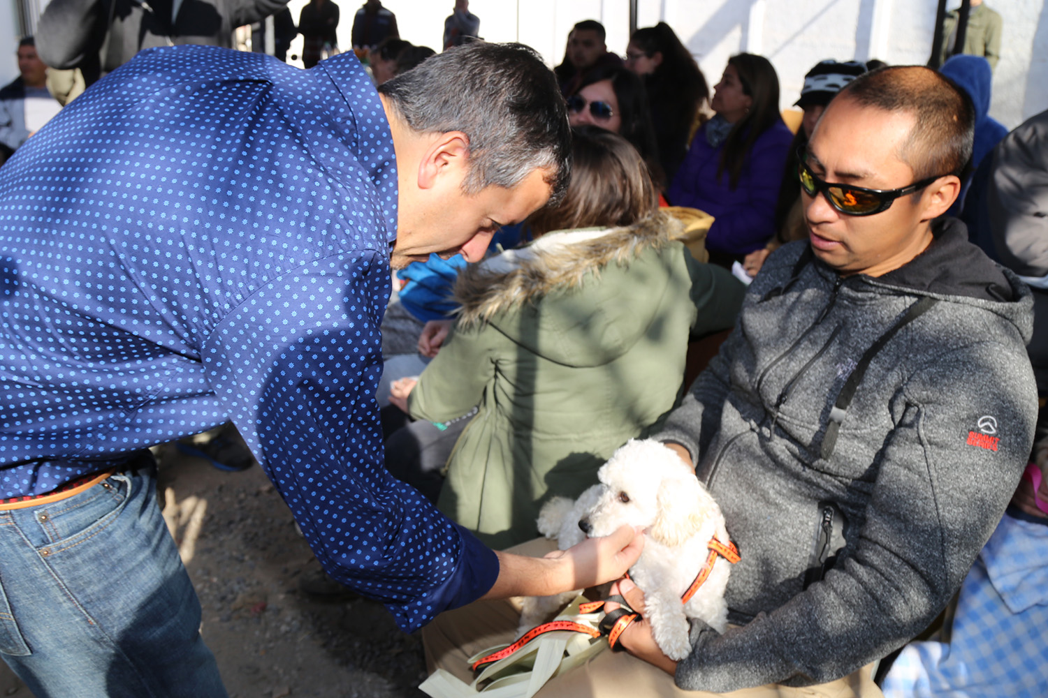 Registro Nacional: Más de 70 mil mascotas fueron inscritas en toda la región