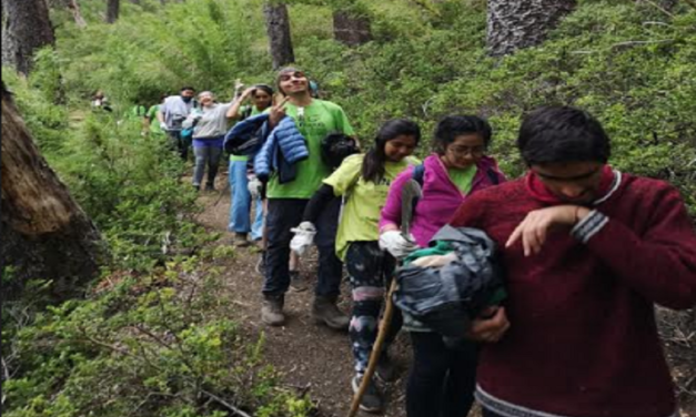 Invitan a jóvenes de la Región a postular al voluntariado medioambiental “Vive Tus Parques”