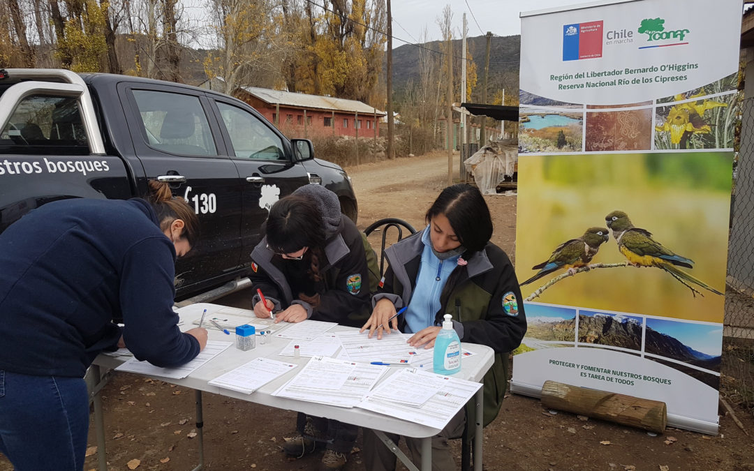 Se activa Programa Mascota Protegida para vecinos de Chacayes