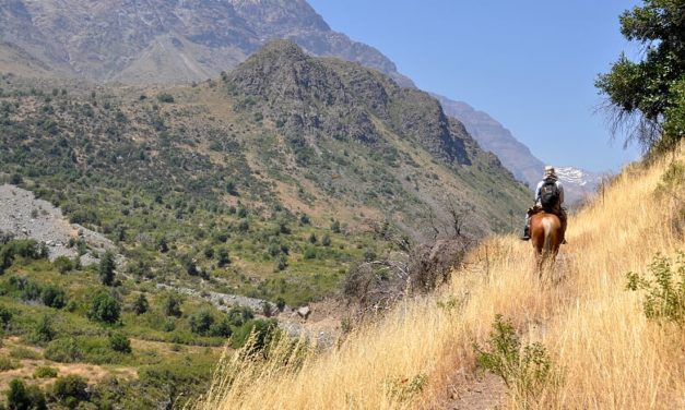 Ruta del Tricahue: El nuevo atractivo turístico de la región de O´Higgins