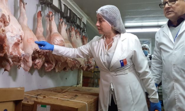 41 sumarios sanitarios y 500 kilos de carne ha decomisado la Seremi de Salud O´Higgins en la previa a las Fiestas Patrias
