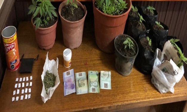 Un detenido por microtráfico