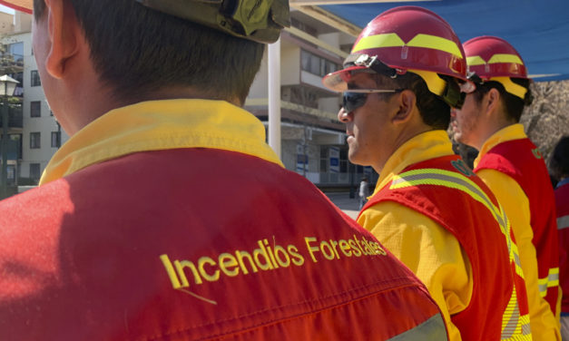 CONAF O’Higgins busca a sus nuevos brigadistas forestales