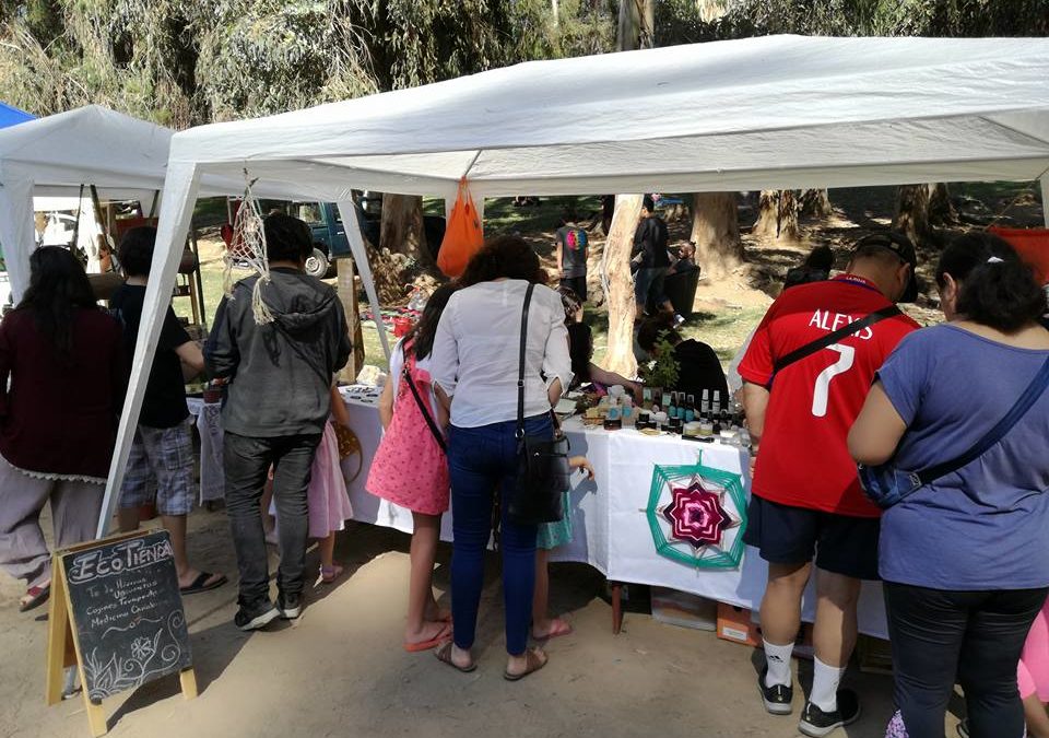 «Expo Holística Machalí Mágico» llega el domingo a Machalí
