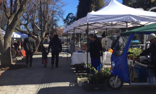 Primera ExpoPyme llega este finde a Machalí