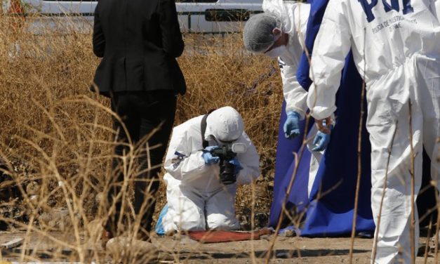 Encuentran cadáver al interior del Patricio Mekis