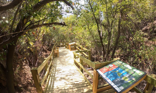 Sendero del agua y experiencia de realidad virtual: Lo nuevo de la Ruta del Tricahue
