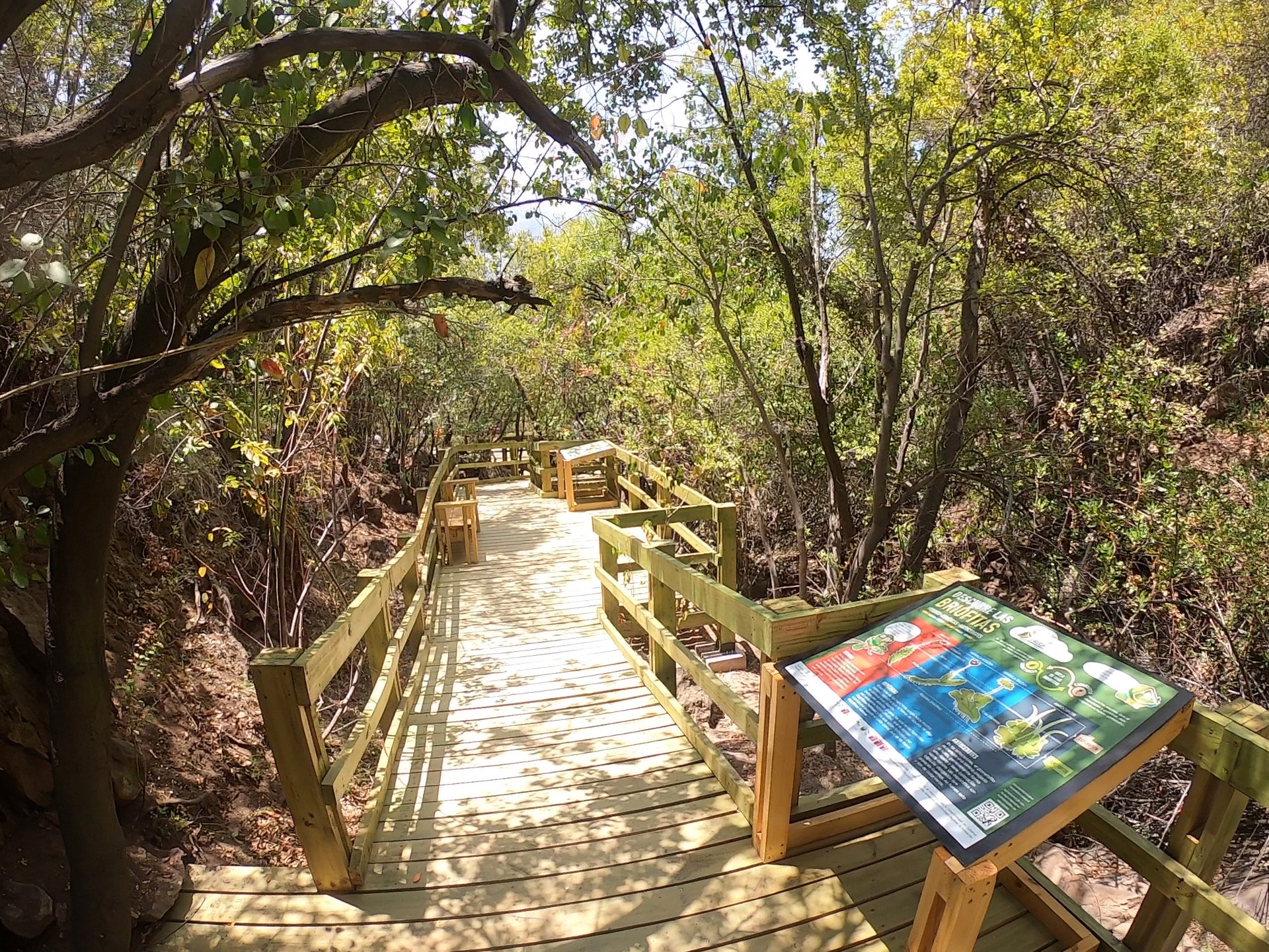 Sendero del agua y experiencia de realidad virtual: Lo nuevo de la Ruta del Tricahue