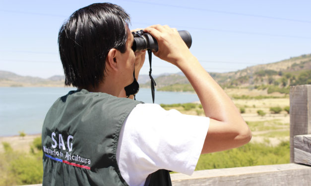 Jefatura de Zona de O’Higgins suspende temporada de caza grupal y recreativa