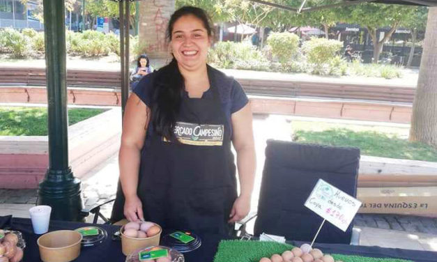 Más de 170 pequeños agricultores ofrecen sus productos en Mercado Campesino Online de O’Higgins