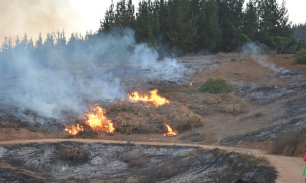 En O’Higgins continúa la prohibición de quemas en todo el territorio