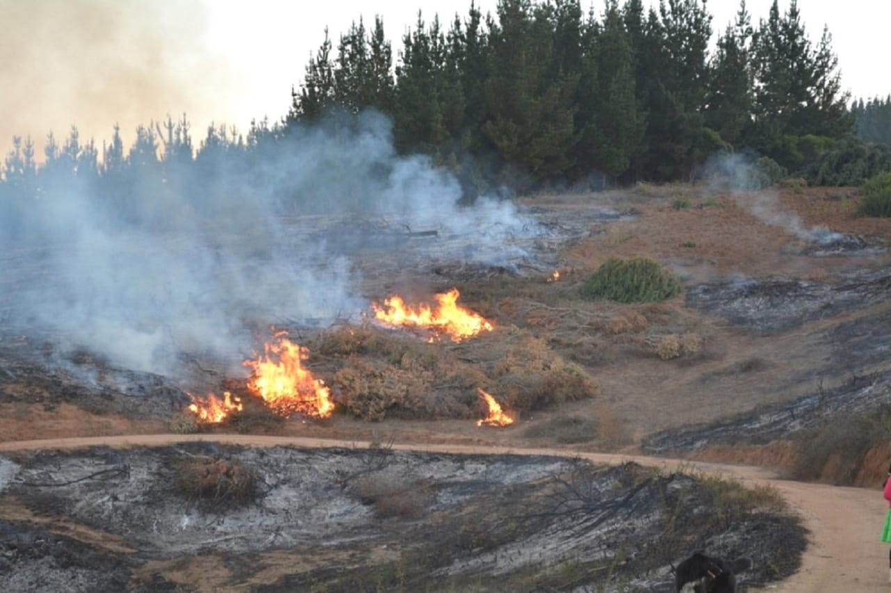 En O’Higgins continúa la prohibición de quemas en todo el territorio