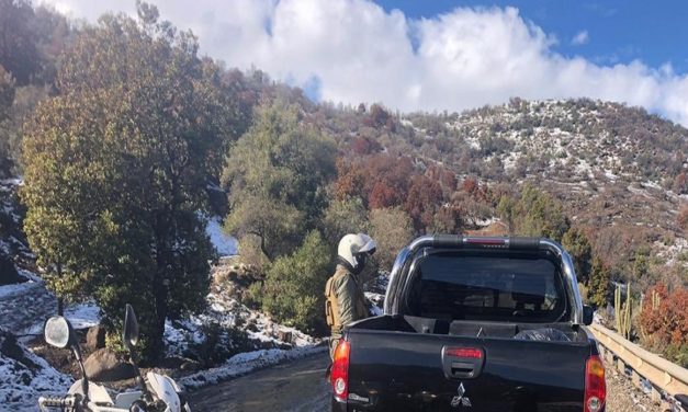 Detienen a 11 porfiados que querían ver la nieve en Coya