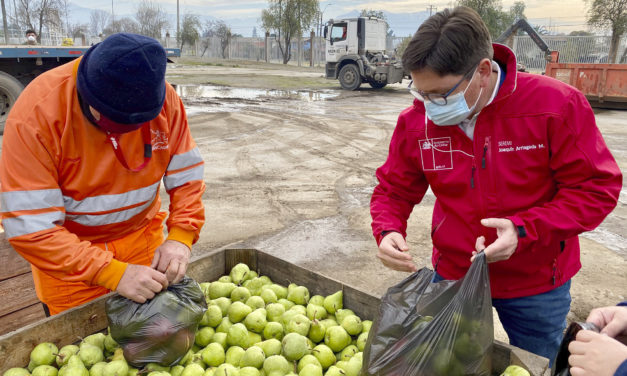 Agricultores donan más de 10 toneladas de frutas para comedores solidarios