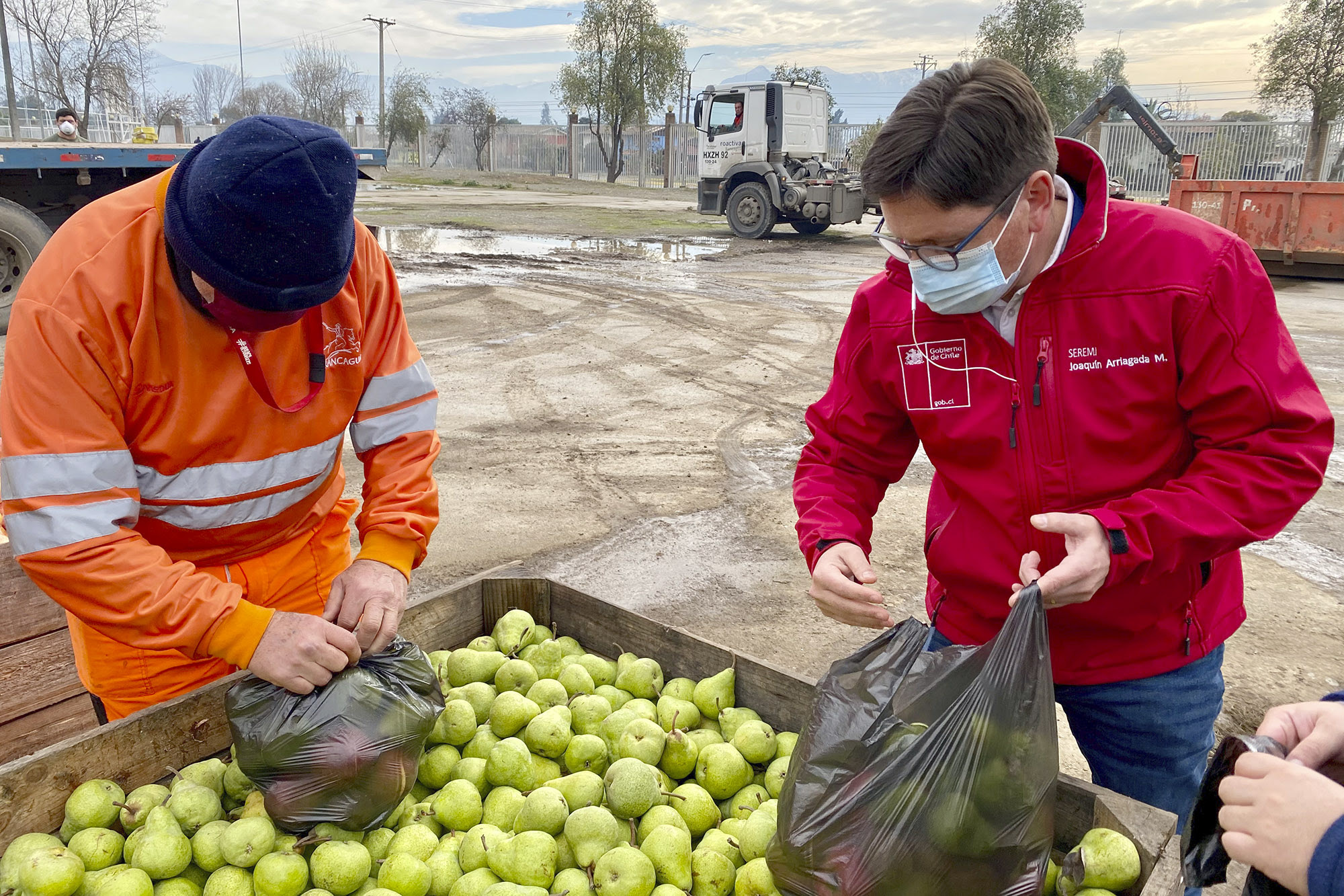 Agricultores donan más de 10 toneladas de frutas para comedores solidarios