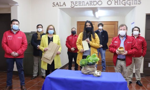 O’Higgins: Gobierno financiará proyectos de jóvenes emprendedores a través del Capital Semilla