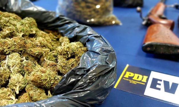Sujetos botaron marihuana que traían del Maule a Machalí