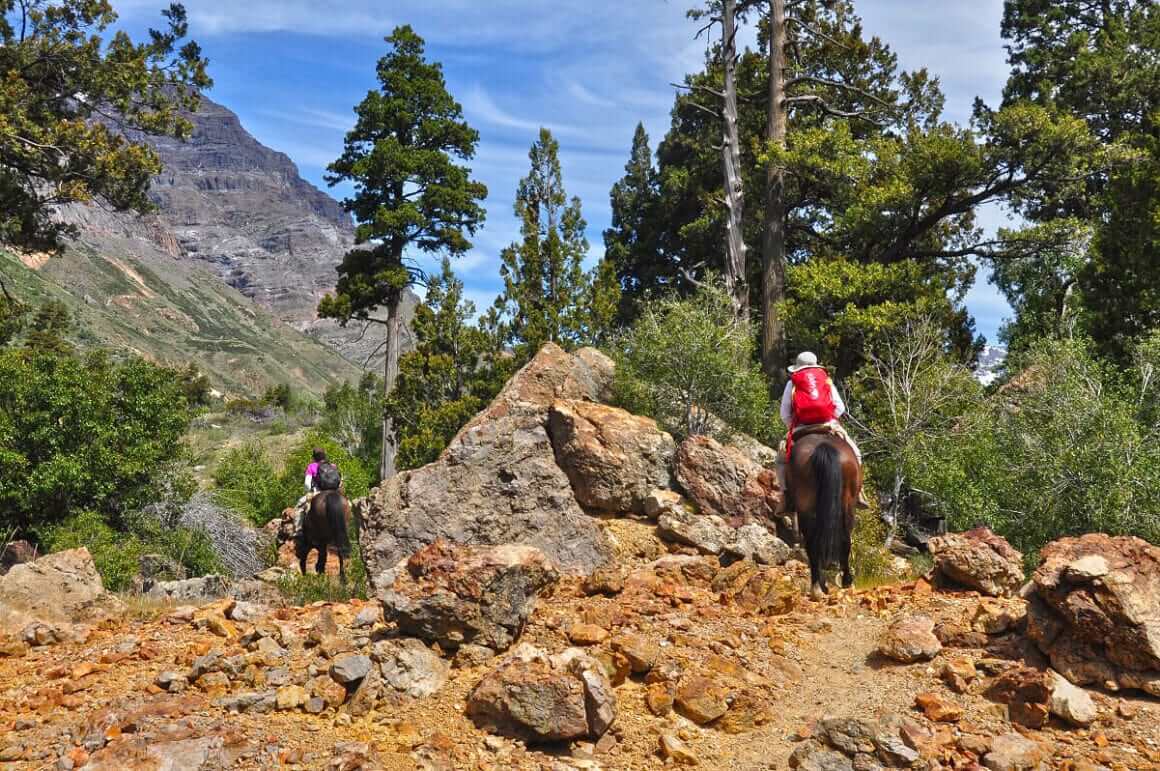 Reabren la Reserva Nacional Río de Los Cipreses