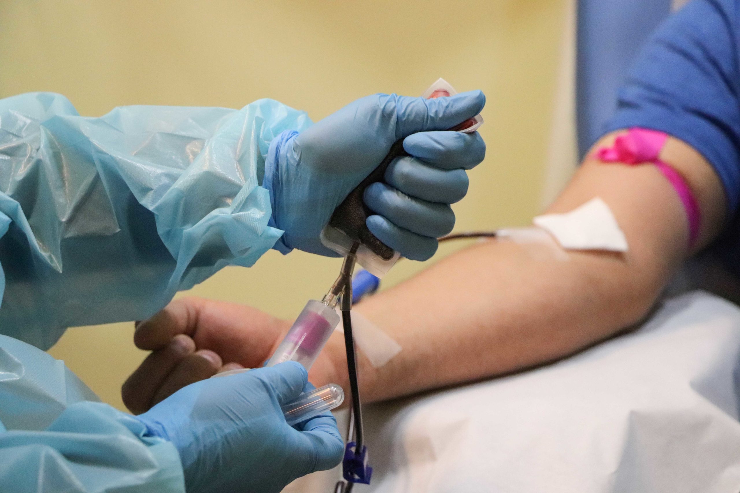 Revisa cómo agendar hora desde el celular para donar sangre