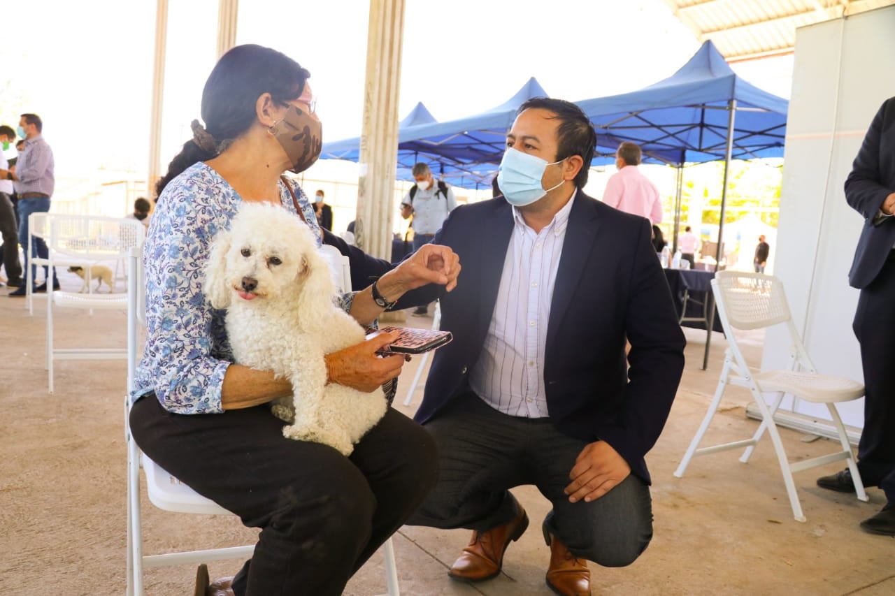 Plan Veterinario en Terreno benefició a cerca de 200 mascotas en Machalí