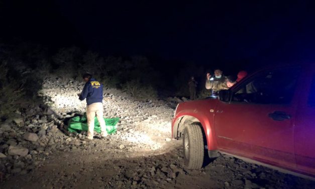 Arriero muere en la precordillera de Machali