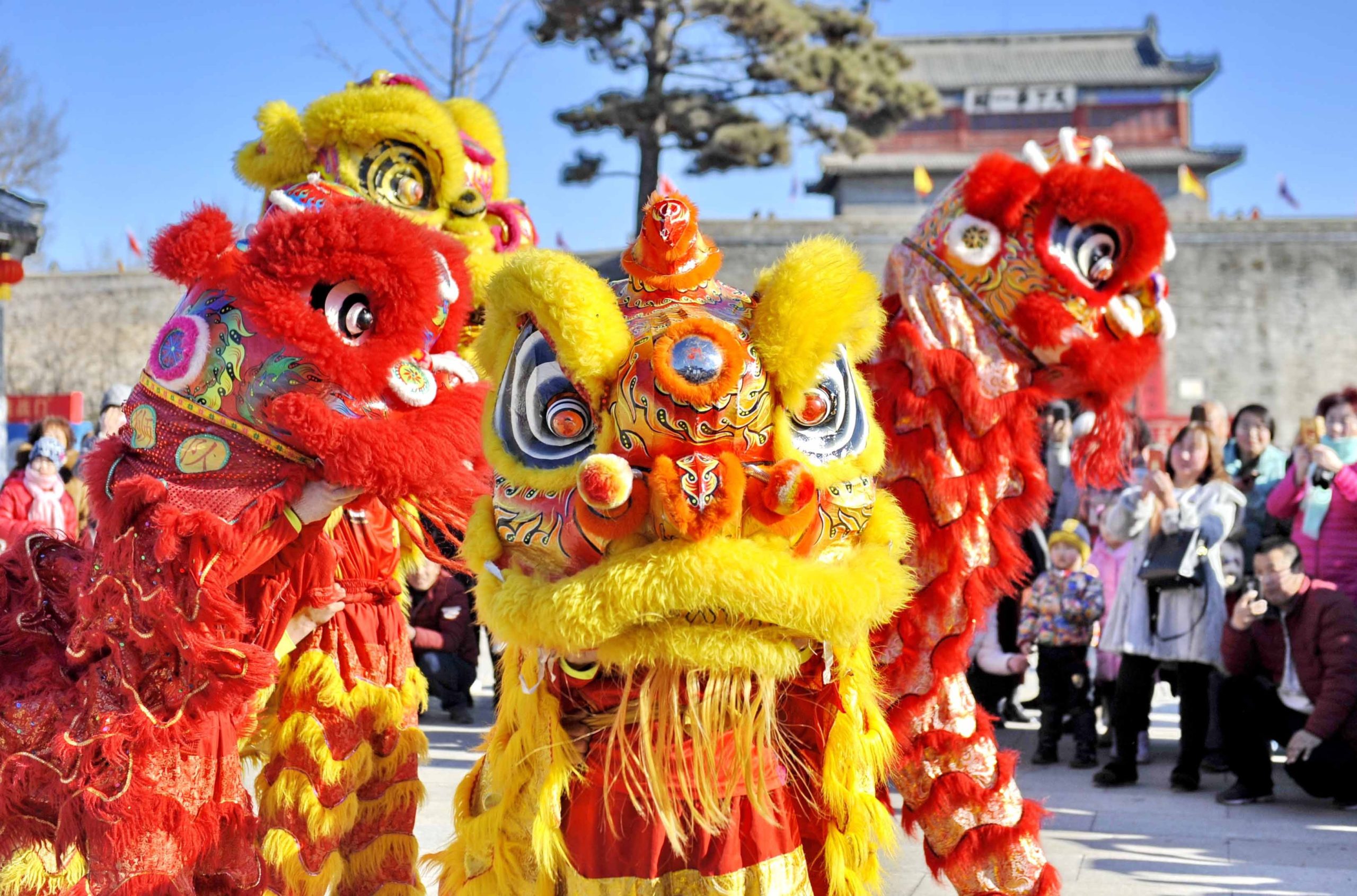 20 de noviembre: Taller sobre leones y dragones chinos
