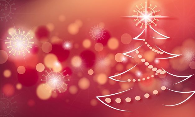 Anuncian medidas especiales para Navidad y Año Nuevo