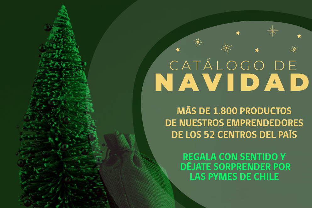 Sercotec crea catálogo de Navidad online para reactivar las pymes