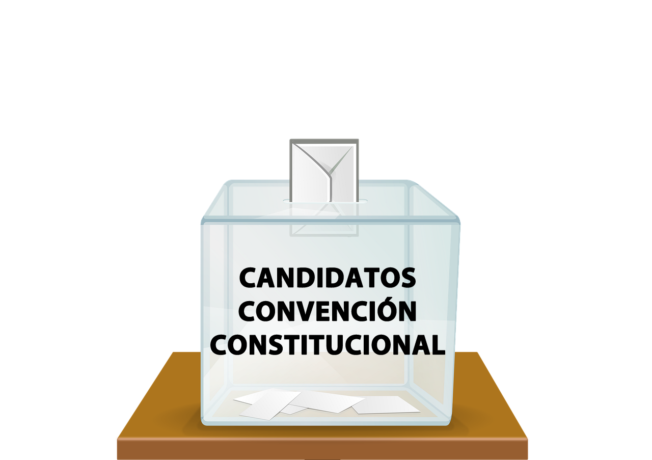 Listado de Candidatos a Constituyentes por nuestro distrito