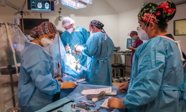 Hospital Regional realizó primera cirugía a paciente con párkinson en O´Higgins