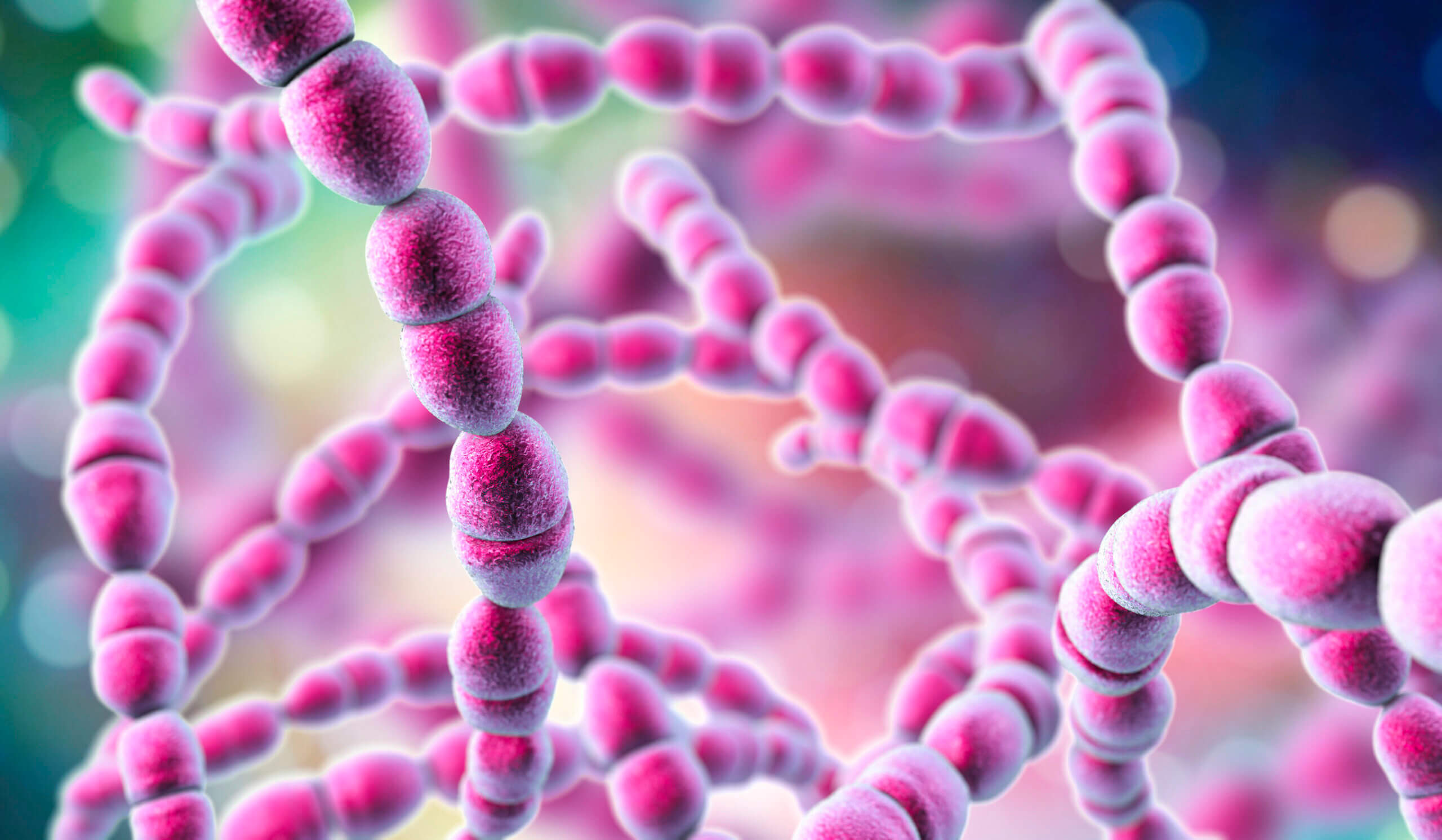 Nuevo examen de pesquisa de Bacteria Estreptococo Grupo B está efectuando Salud Machalí