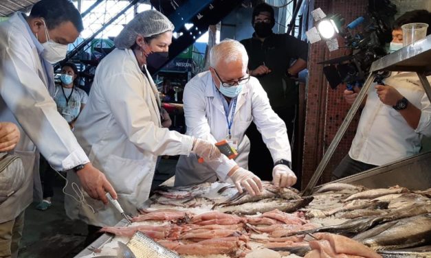 Previo a Semana Santa Seremi de Salud entrega recomendaciones para prevenir intoxicaciones alimentarias