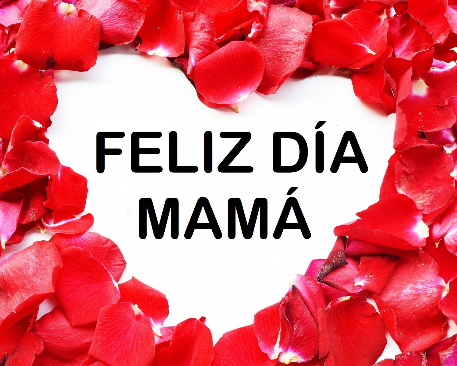 5 regalos para el Dia de la Madre que encuentras en Machali