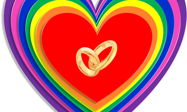 Matrimonio Igualitario: 11 parejas celebraron su unión en O´Higgins